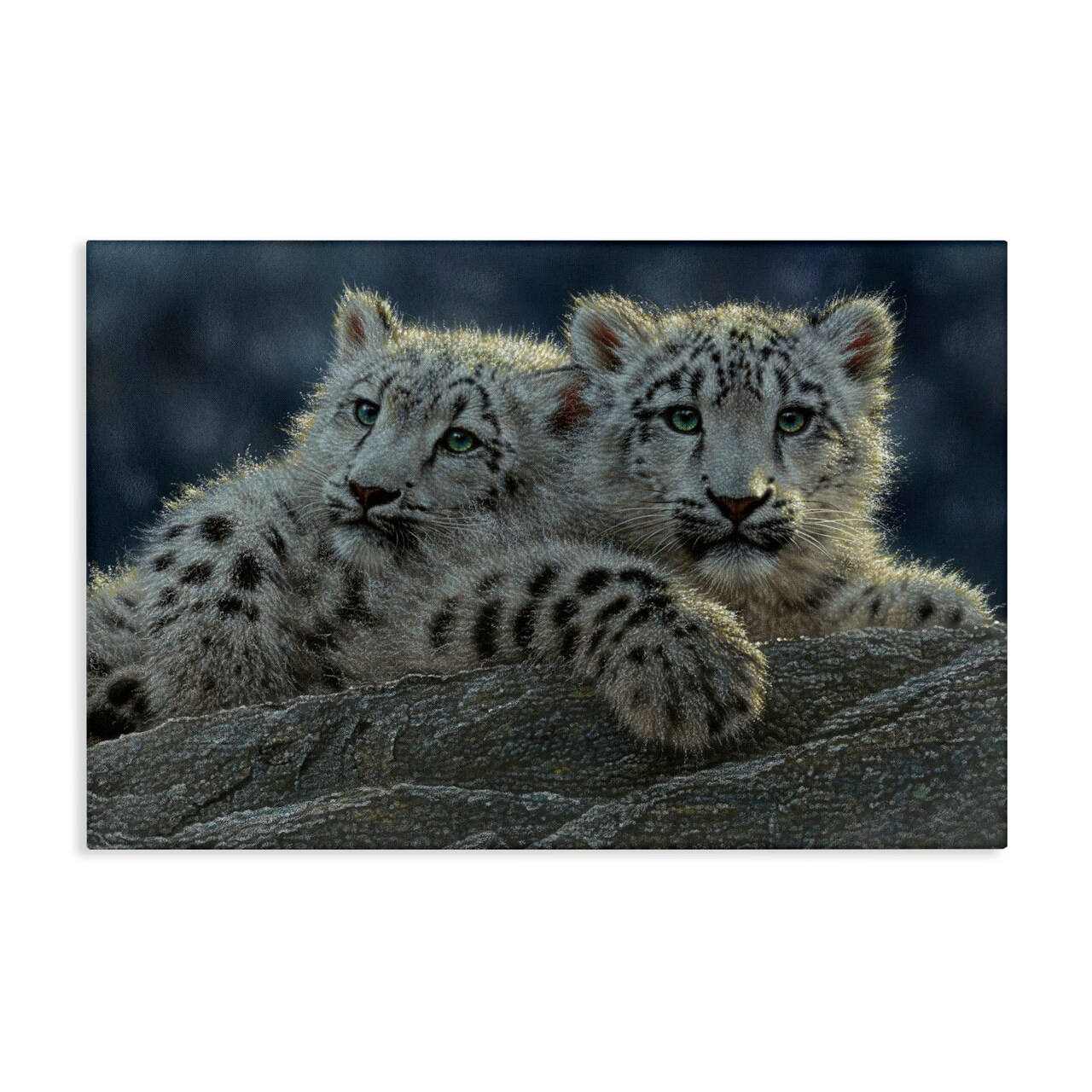 Stupell Industries Snow Leopard Cuddle Canvas, design by Collin Bogle